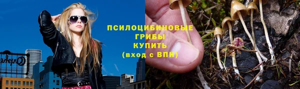 PSILOCYBIN Абдулино