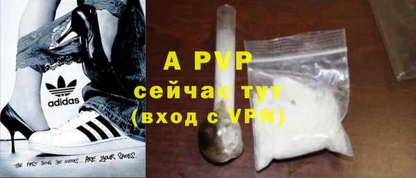 PSILOCYBIN Абдулино
