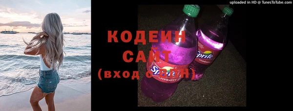 индика Абаза