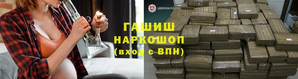 индика Абаза