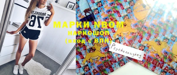 индика Абаза