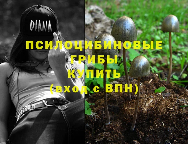 PSILOCYBIN Абдулино