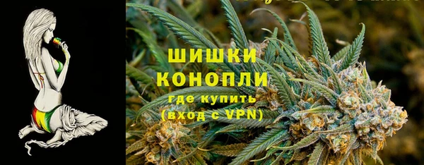 индика Абаза