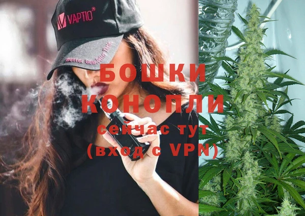 СК Россошь