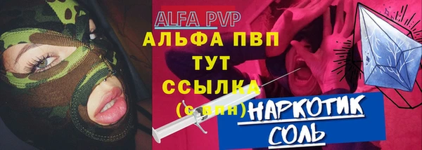 индика Абаза